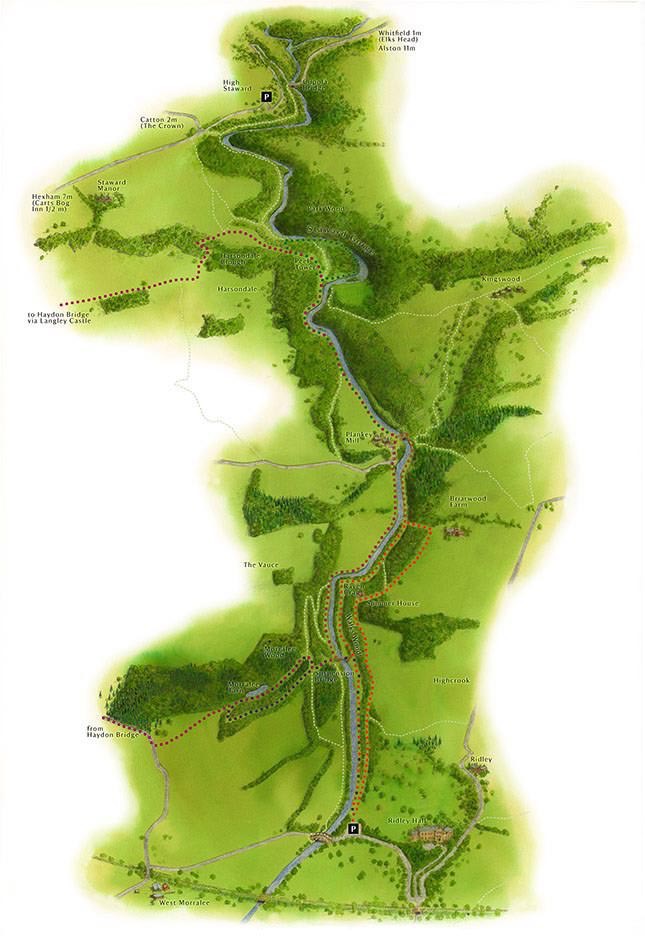 The National Trust : Illustrated Walks Series . Allen Banks and Saward Gorge, Northumberland