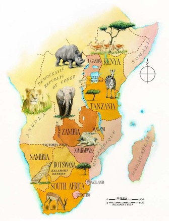 Safari map illustration.jpg