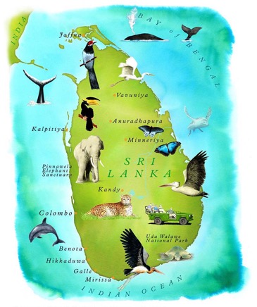 Sri Lanka map illustration.jpg