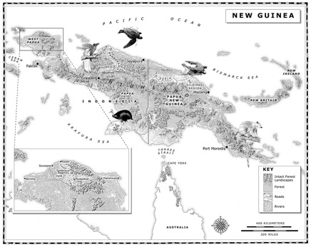 New Guinea.jpg